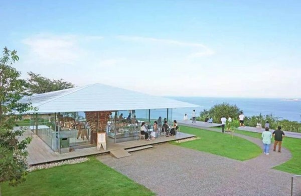 【愛犬同伴プラン】(5/23)美しいバラに囲まれたACAO FOREST散策や来宮神社のお参り、ハワイアンテイストの店内でランチ付きの日帰りvipわんツアー!2